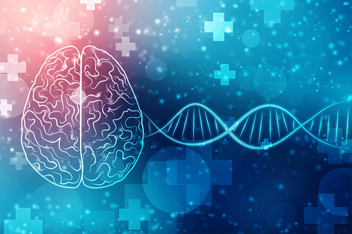 脳とDNA