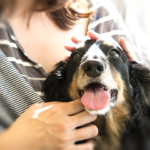 犬を抱く女性