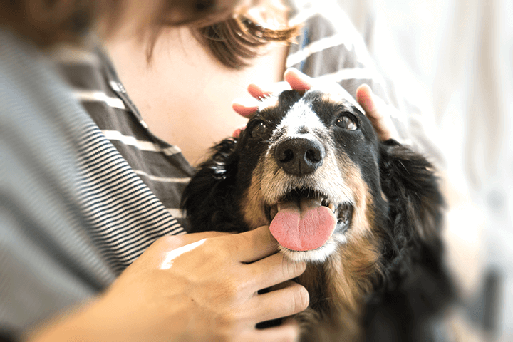 犬を抱く女性